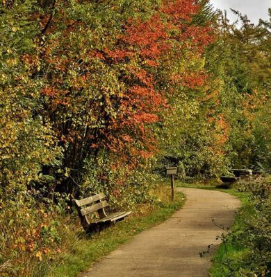 Herfstwandeling Drents-Friese Wold - foto aangeleverd