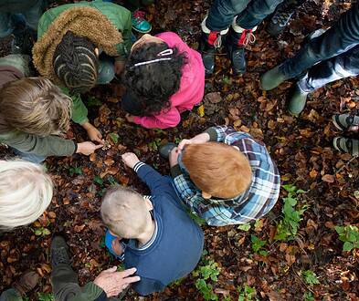Prachtige groep kinderen en volwassenen onderzoekt de herfstbladeren in het bos, leren over natuur en biodiversiteit, educatieve buitenactiviteit, duurzaam milieueducatie, leren over natuur.