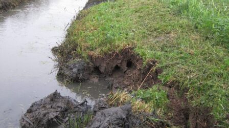Gerede aardverschuiving en afwateringsproblemen langs een graskant bij een rivier of kanaal. Het beeld toont de beschadigde bodem en de insnijdingen in het talud door water en regenval.