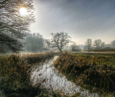 Voldoende mistige natuurlandschappen met een kabbelende rivier, bomen en ochtendzon, perfect voor rust, natuurbehoud en outdoor activiteiten in Nederland.