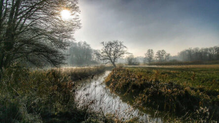 Voldoende mistige natuurlandschappen met een kabbelende rivier, bomen en ochtendzon, perfect voor rust, natuurbehoud en outdoor activiteiten in Nederland.