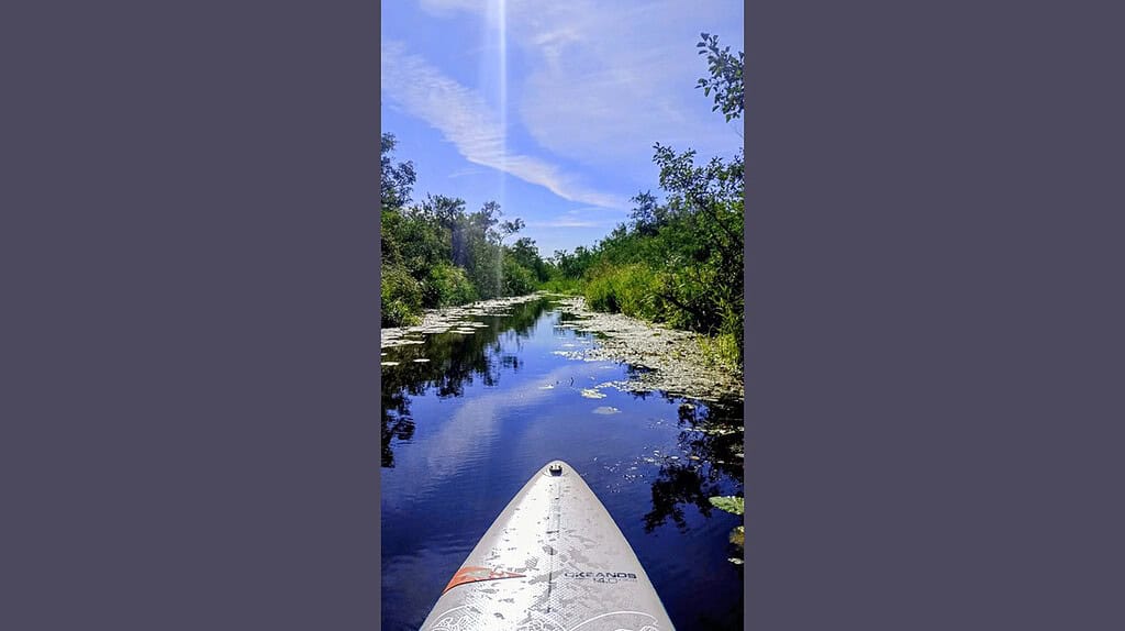 Fête de la Nature 2025 in Nationaal Park De Alde Feanen