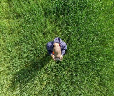Drone beeld van een persoon in een groen veld die met een remote controle een drone bestuurt, illustratie van drone hobby, fotografie en outdoor activiteiten.