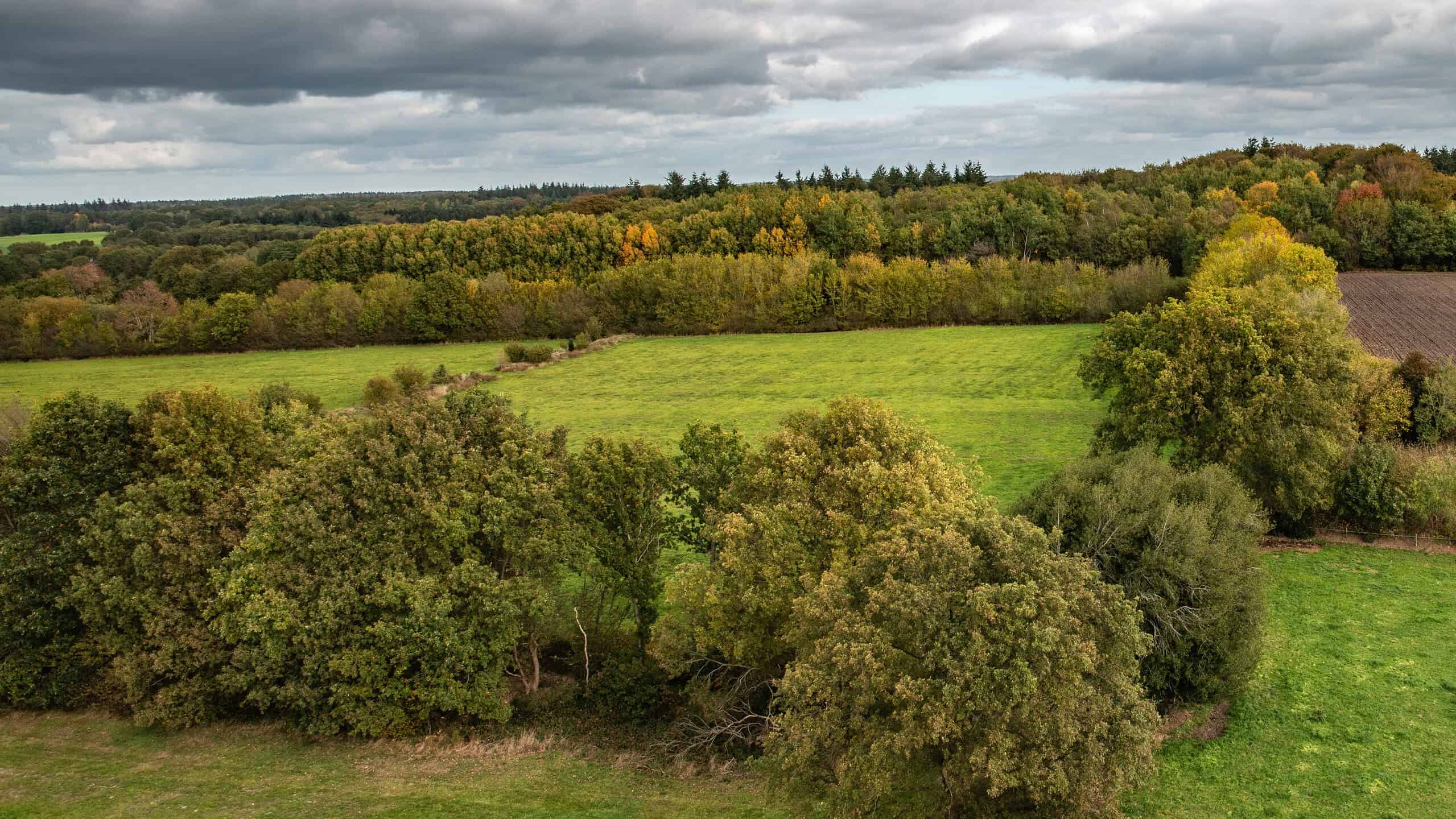 landschapselementen - foto Staatsbosbeheer