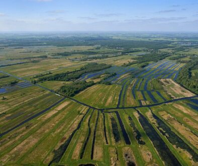 Luchtfoto van de uitgestrekte waterrijke landbouwgebieden in de omgeving van RTV SLOS, met diverse weilanden, sloten en irrigatiekanalen in een weids landschap.