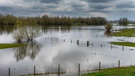 Hoogwater - foto freepik