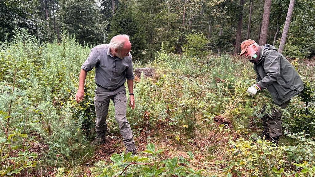 Natuurwerkdag op het Eeserveld: Doe je mee op 1 november?