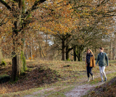 Herfstwandeling - foto Auke Spijker