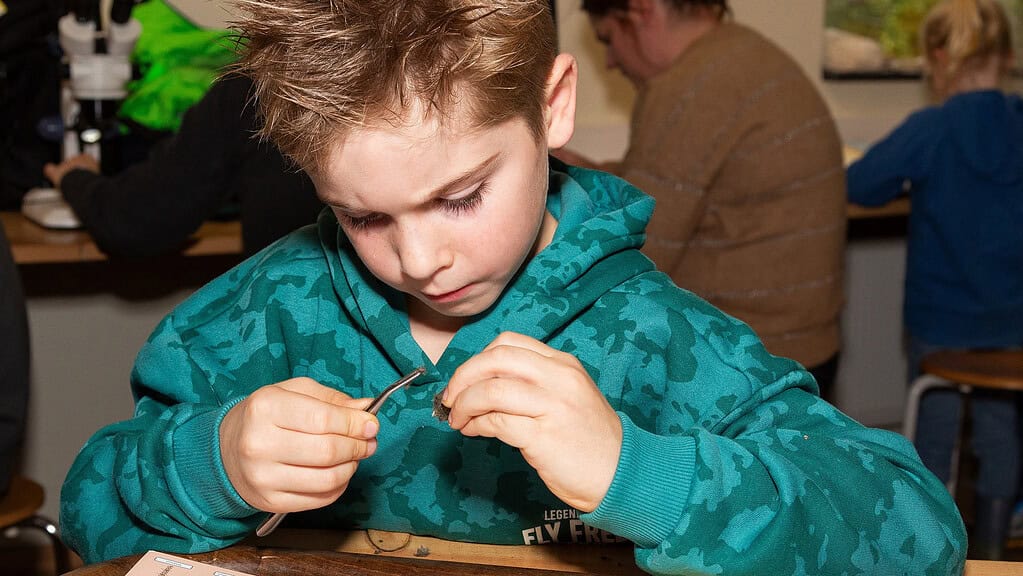 Braakballen pluizen voor jonge onderzoekers