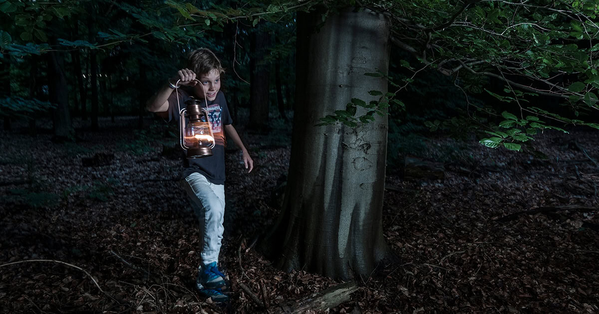 Lichtjeswandeling in De Wieden