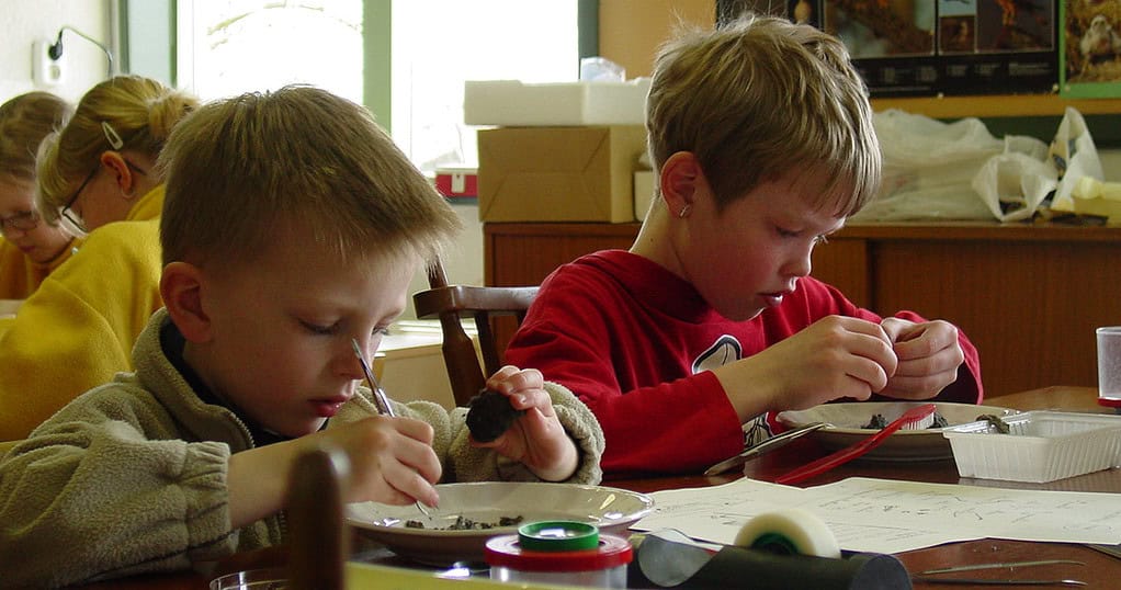 Trek er deze kerstvakantie op uit met it Fryske Gea