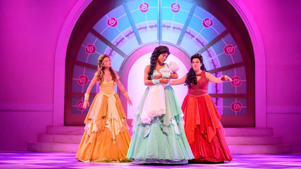 Doornroosje, een betoverende musical voor de hele familie