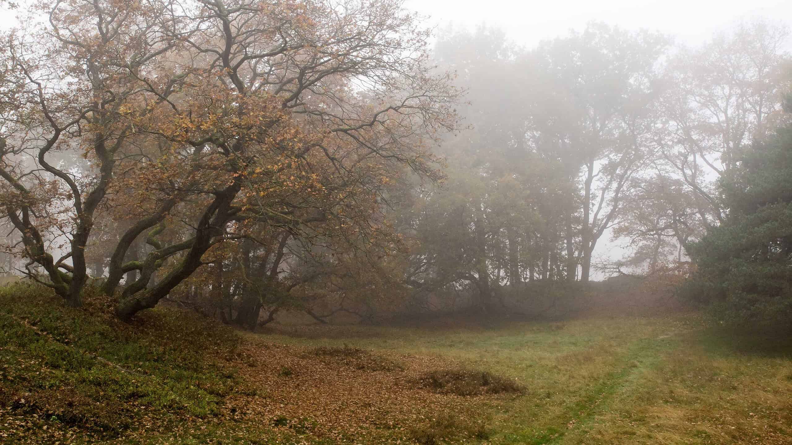 Fotografeer en meer…Strubben in de winter