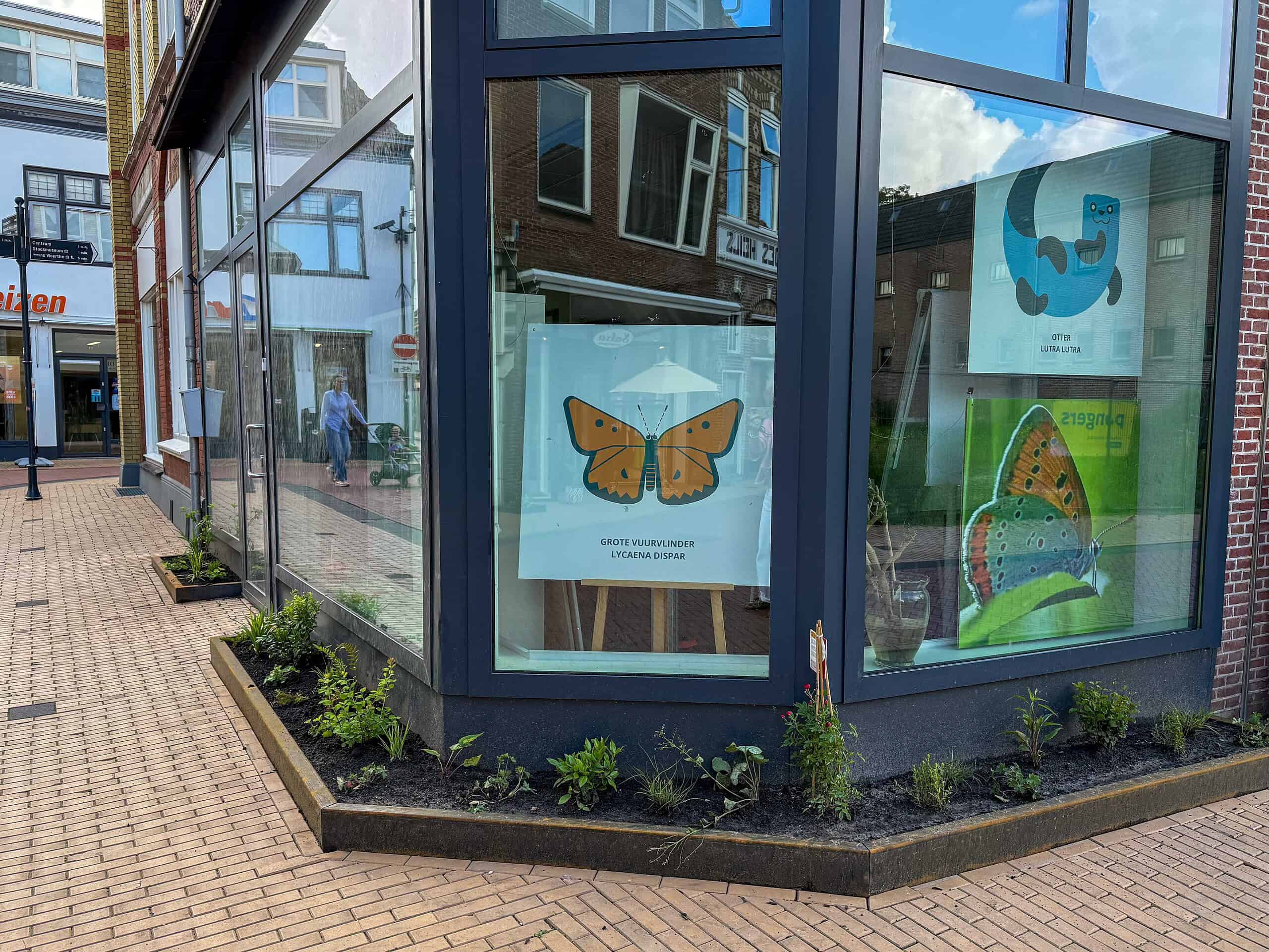 Steenwijk viert eerste groene winkelstraat