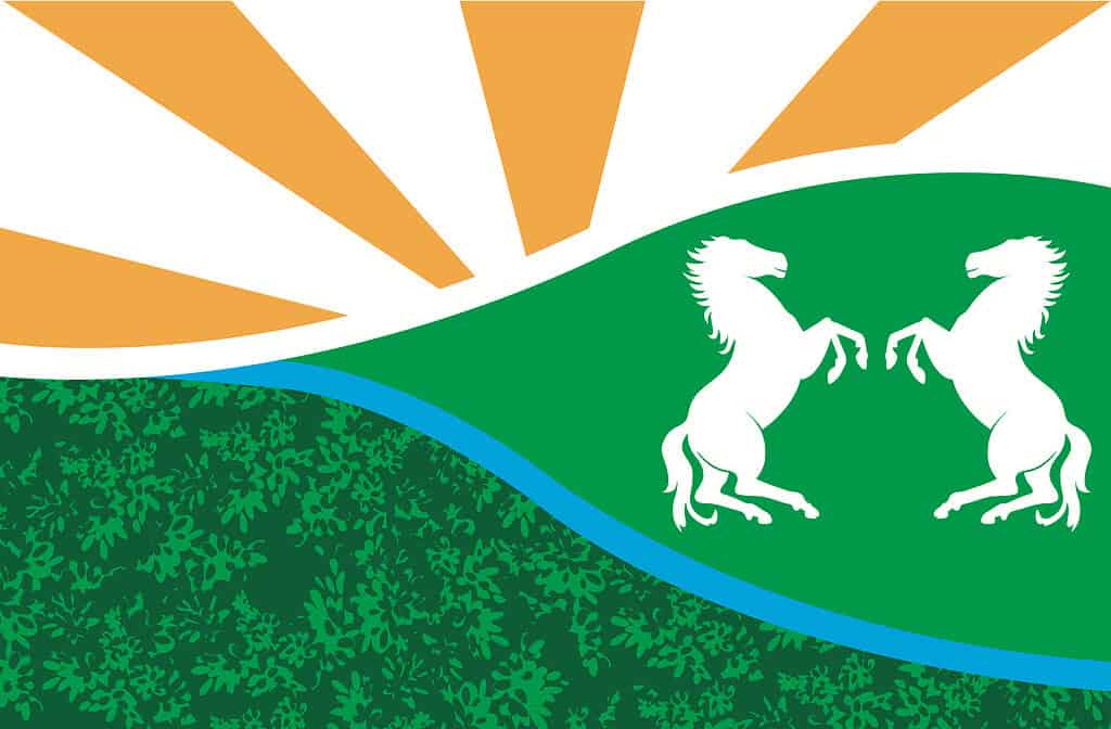 Witte Paarden en Baars vieren buurtfeest met eigen dorpsvlag