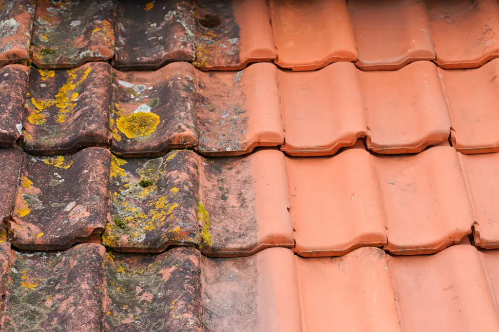 Moss and lichen growth on old clay roof tiles with signs of weathering and damage.