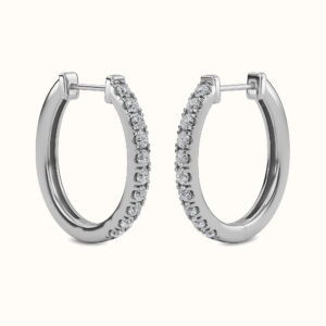 Bold Huggie Earrings