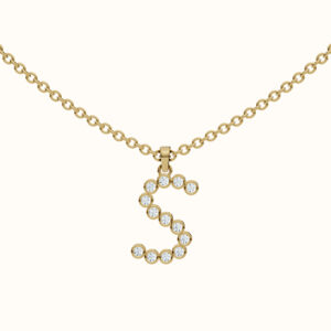 Signature of Shine - S Necklace
