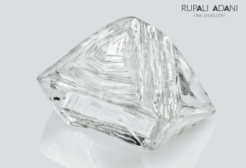 Your paragraph text (3)