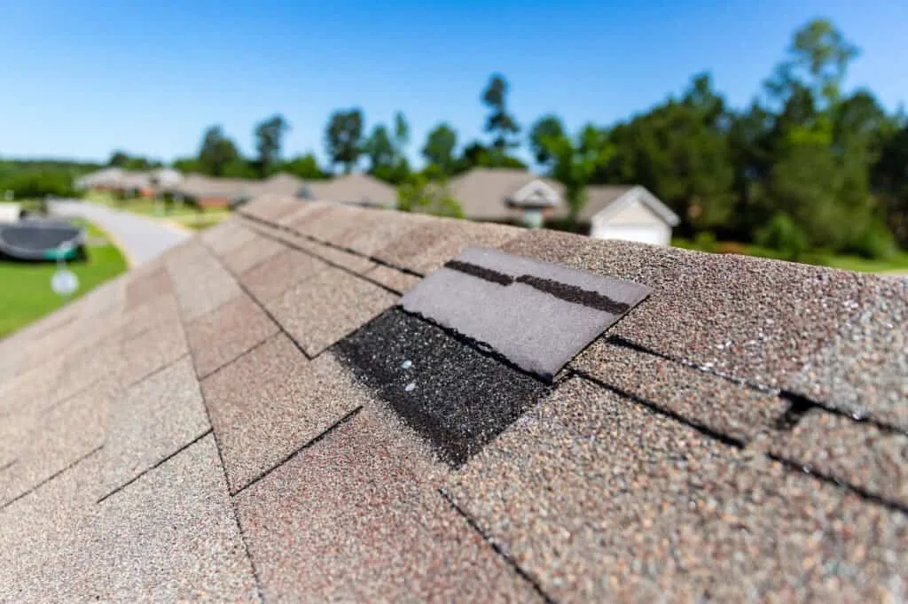 Damaged roof shingles