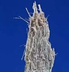Anthophyllite