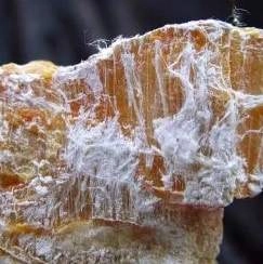 Chrysotile