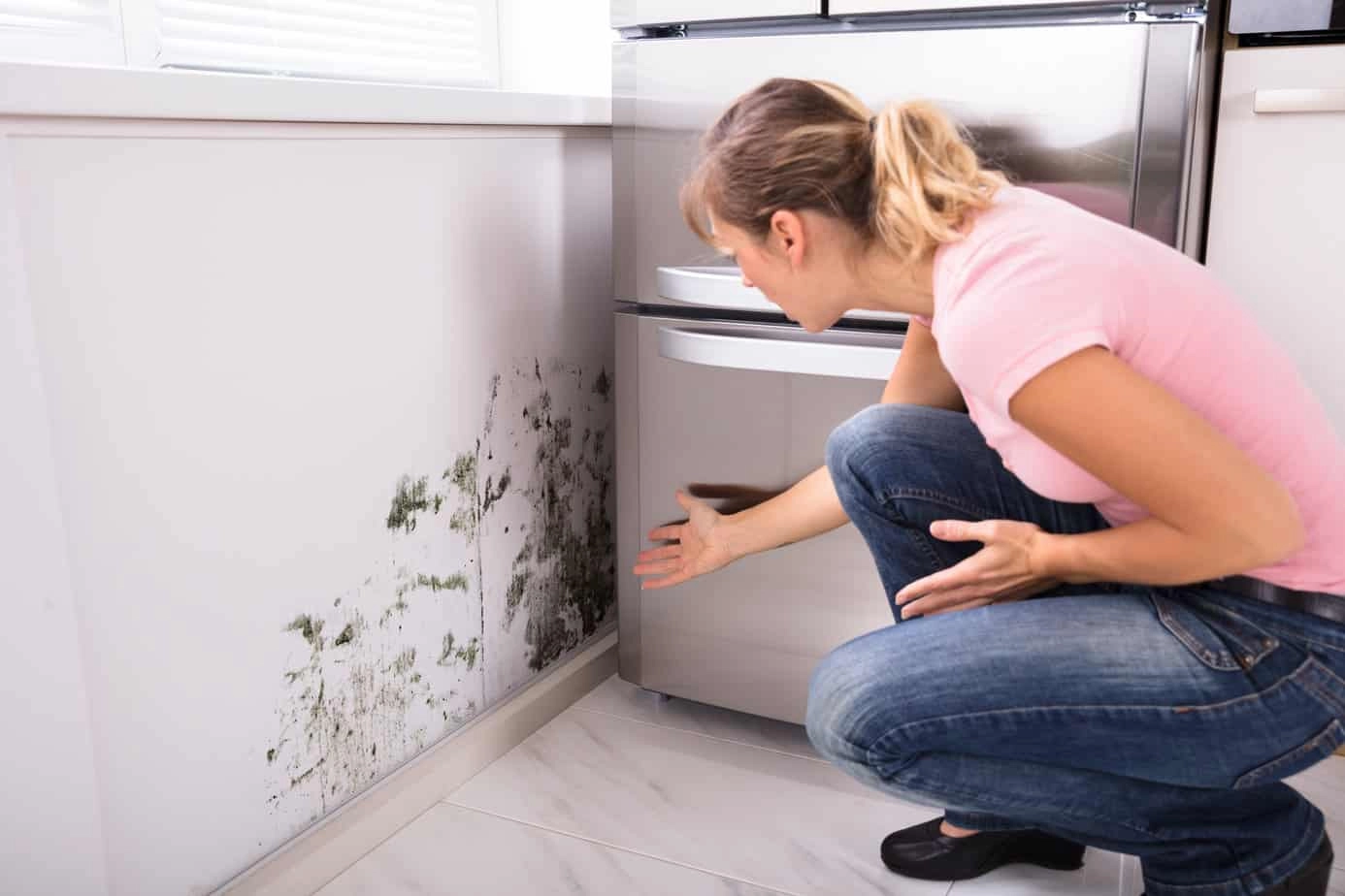 Mold near refrigerator