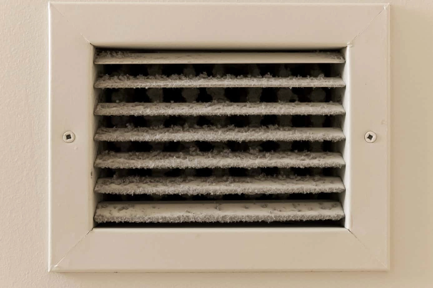 Mold in ventilation duct