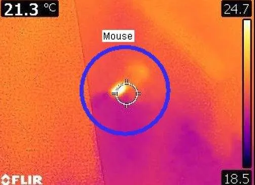 Thermal imaging of mouse inside home