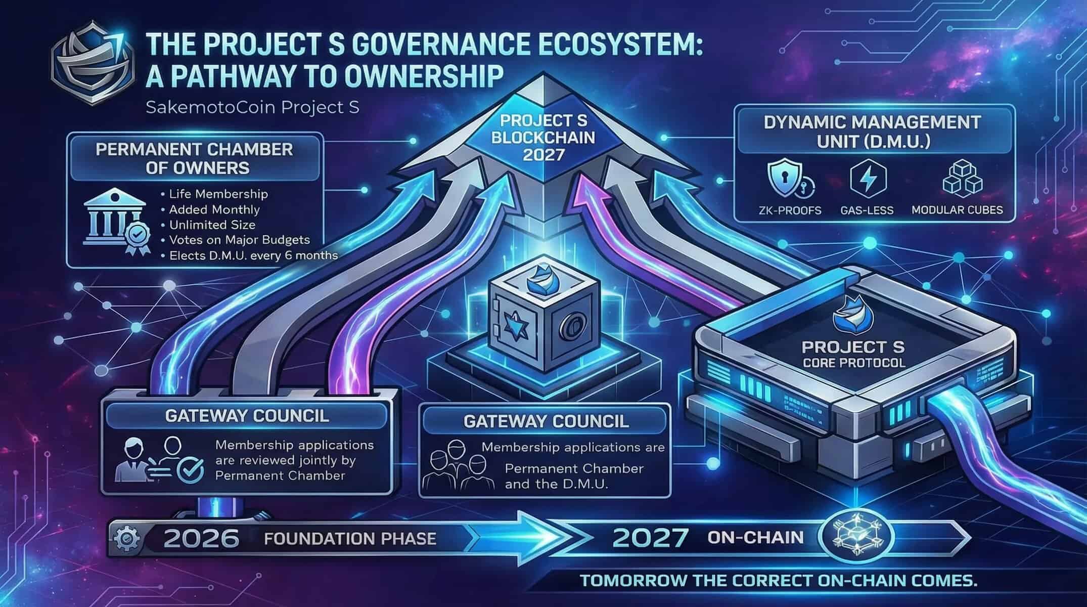 Project S Governance Explained