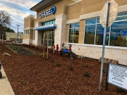 commercial_salens_landscaping_20190211_IMG_0118_