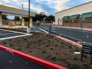 commercial_salens_landscaping_20190211_IMG_0123_