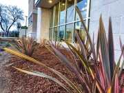 commercial_salens_landscaping_20190211_IMG_0126_