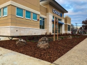 commercial_salens_landscaping_20190211_IMG_0129_