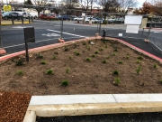 commercial_salens_landscaping_20190211_IMG_0136_