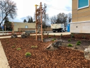 commercial_salens_landscaping_20190211_IMG_0137_