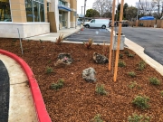 commercial_salens_landscaping_20190211_IMG_0138_