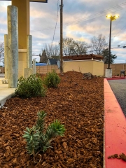 commercial_salens_landscaping_20190211_IMG_0143_