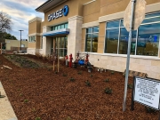 commercial_salens_landscaping_20190211_IMG_0150_