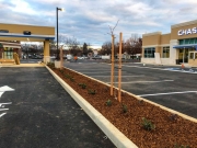 commercial_salens_landscaping_20190211_IMG_0158_