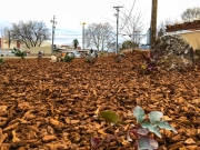 commercial_salens_landscaping_20190211_IMG_0172_