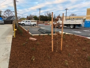 commercial_salens_landscaping_20190211_IMG_0173_