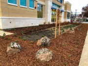 commercial_salens_landscaping_20190211_IMG_0176_