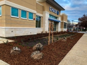 commercial_salens_landscaping_20190211_IMG_0180_