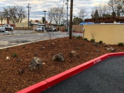 commercial_salens_landscaping_20190211_IMG_0185_