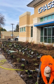 commercial_salens_landscaping_20190212_IMG_0146_