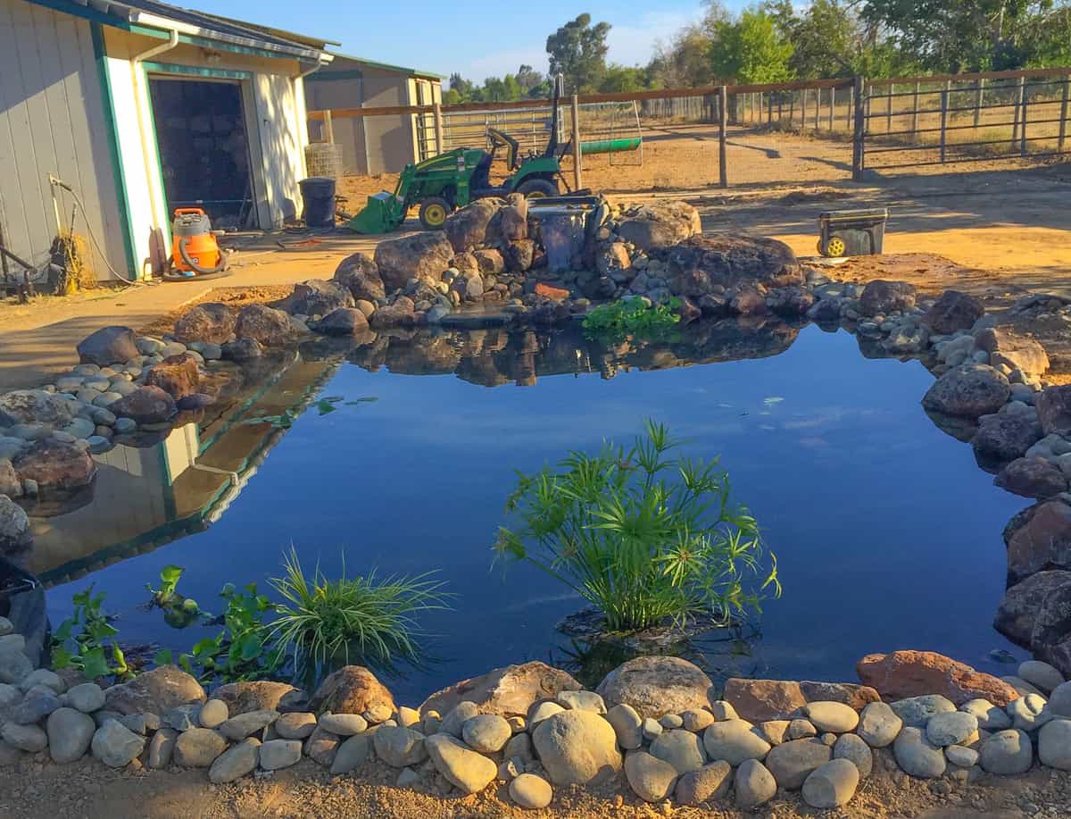 Ponds, Waterfall Design And Construction