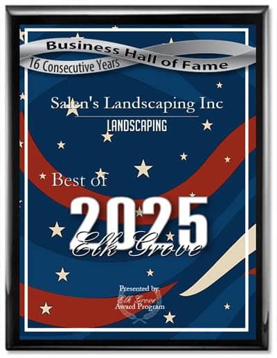 Salen’s Landscaping Wins Best of Elk Grove Award for 16 Consecutive Years