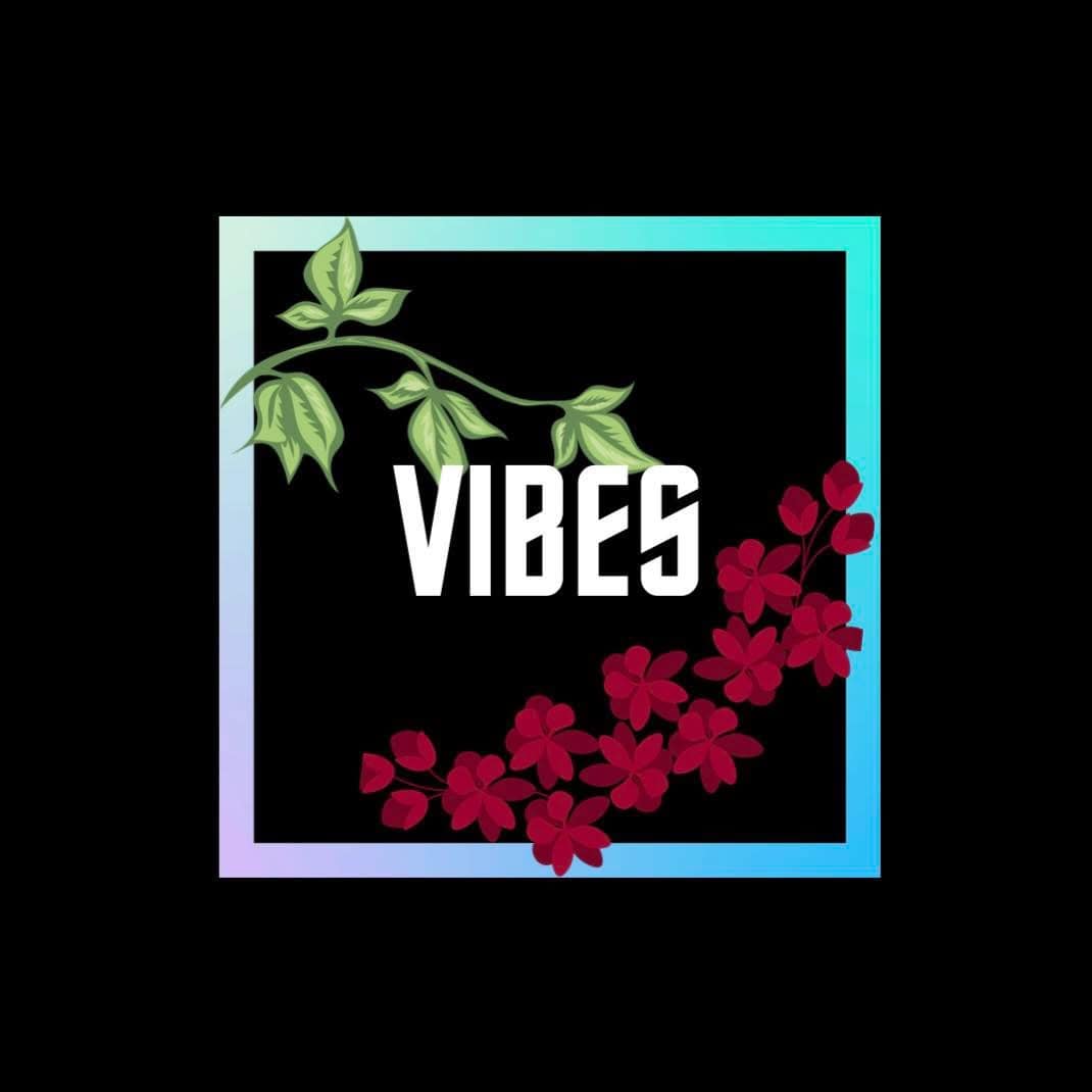 Logo Vibes Carré Liège – partenaire Studio24