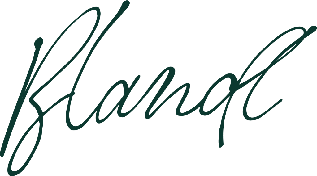 Szalon belsőépítészet és design, modern enteriőr kialakítás, belsőépítészeti és menedzsment szolgáltatások, kreatív és funkcionális tértervezés a Salt Designnál.